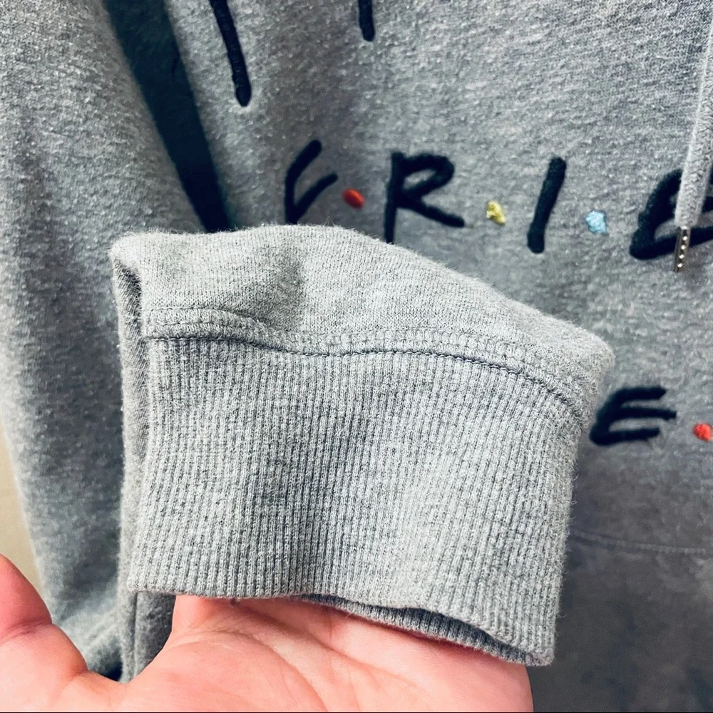 H&M Light Gray Warner Brothers FRIENDS embroidered Sweatshirt Hoodie Size L - Picture 9 of 11